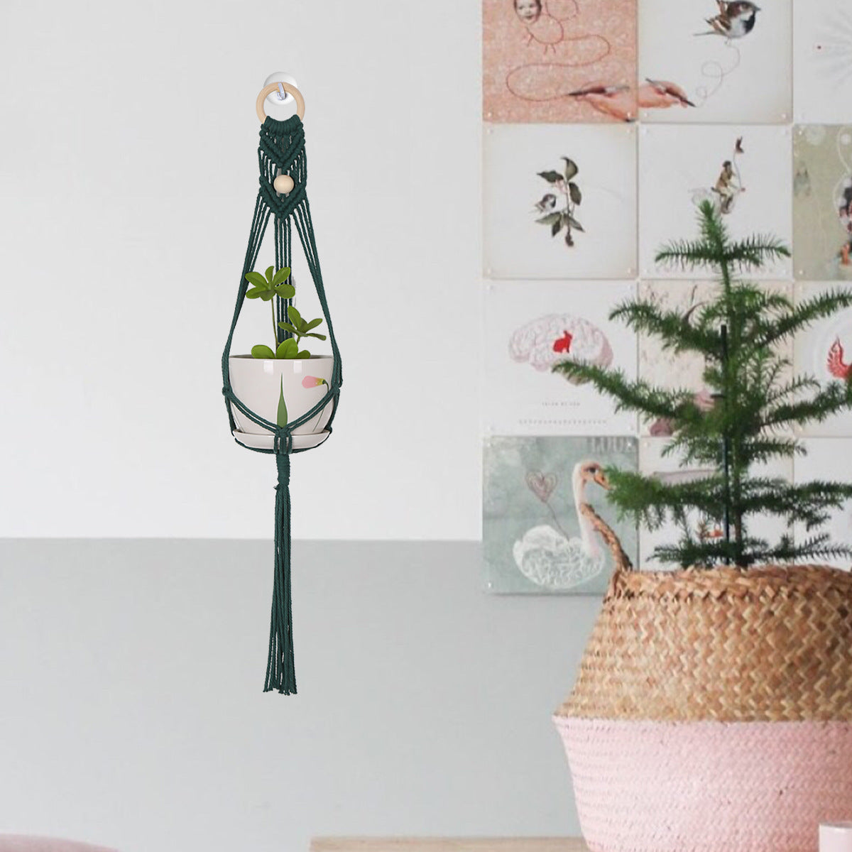 Green Hanging Basket