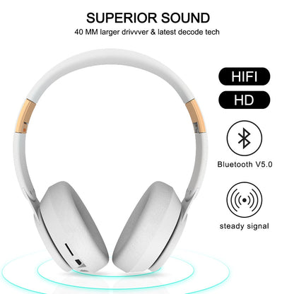 Wireless Bluetooth Headset-Bieg's Products