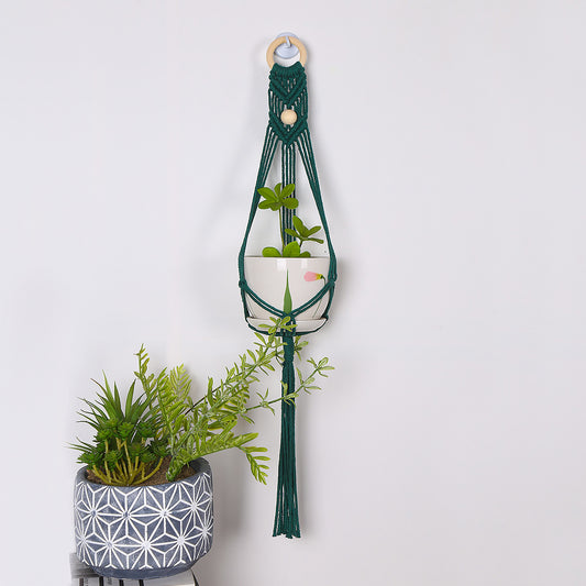 Green Hanging Basket