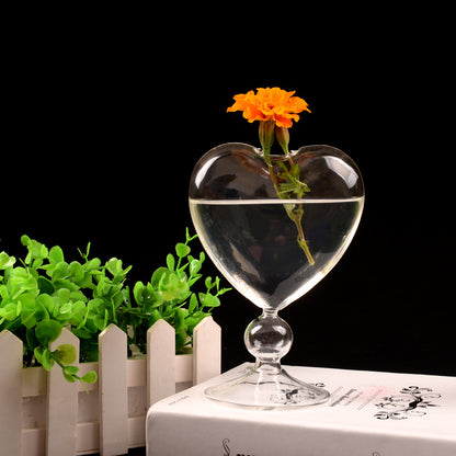 Transparent Hydroponic Flower Device for Home Decoration