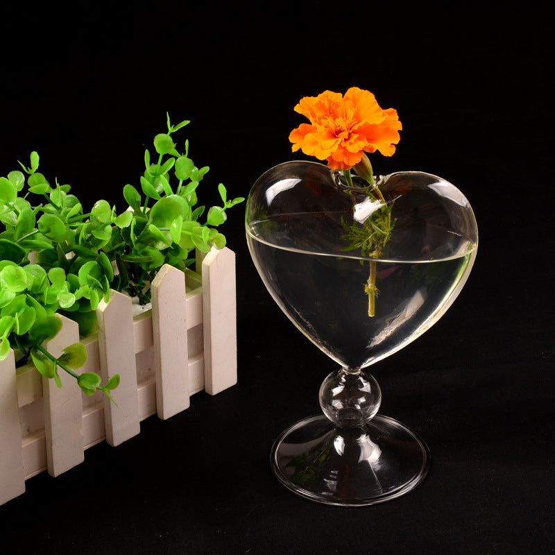 Transparent Hydroponic Flower Device for Home Decoration