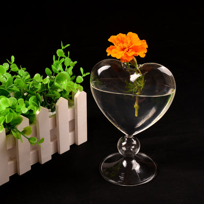 Transparent Hydroponic Flower Device for Home Decoration
