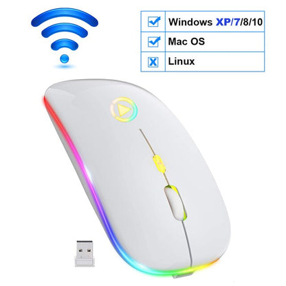 RGB Rechargeable Wireless Mouse-Bieg's Products