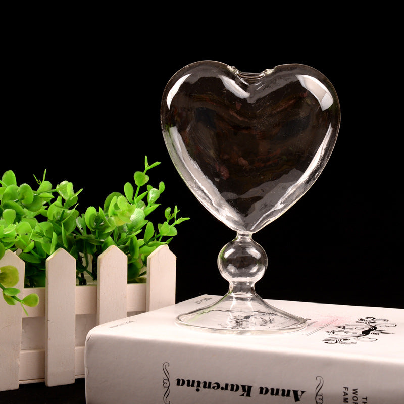 Transparent Hydroponic Flower Device for Home Decoration