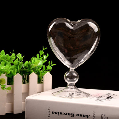 Transparent Hydroponic Flower Device for Home Decoration