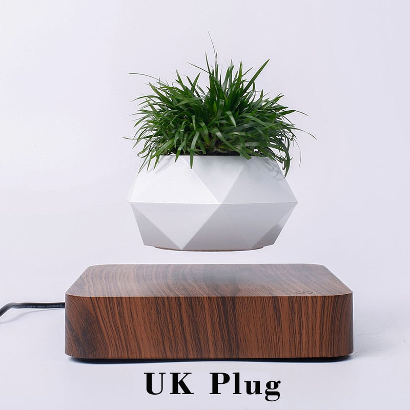 Levitating Air Bonsai Pot