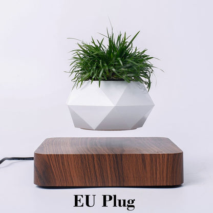 Levitating Air Bonsai Pot