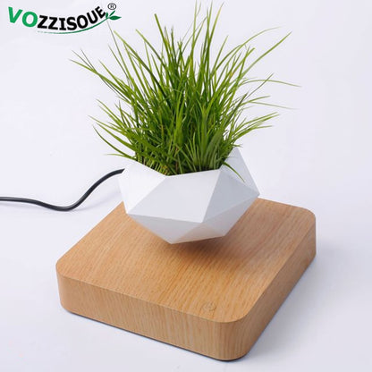 Levitating Air Bonsai Pot