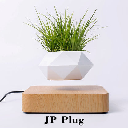 Levitating Air Bonsai Pot