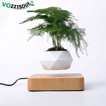 Levitating Air Bonsai Pot