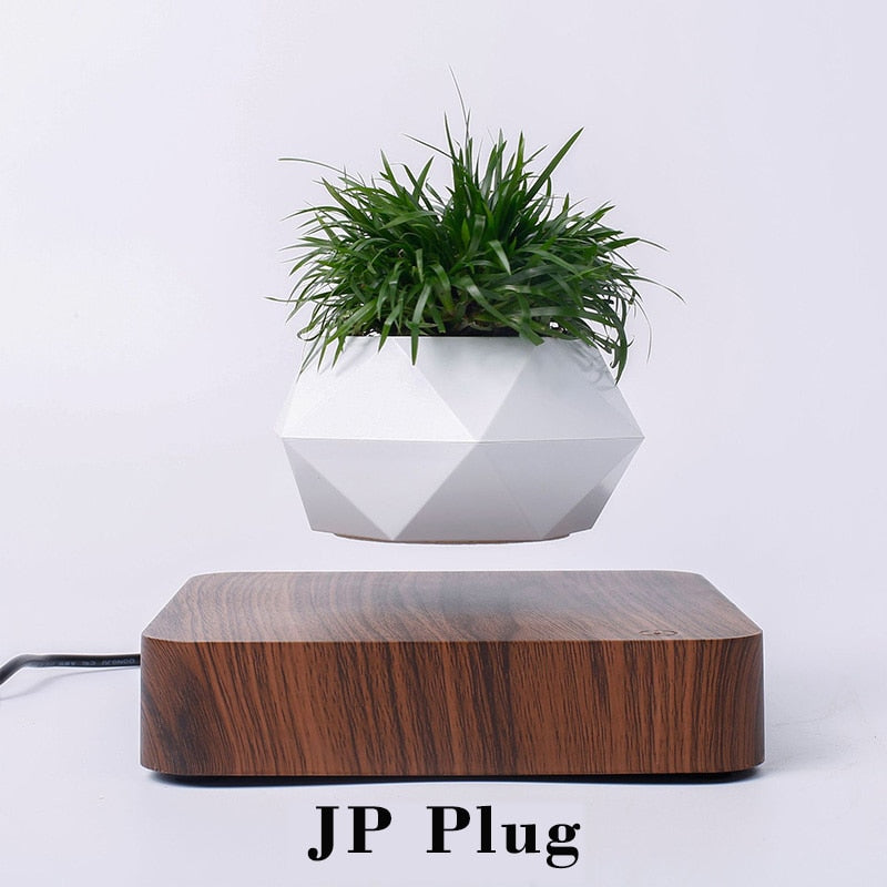 Levitating Air Bonsai Pot