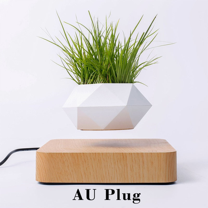 Levitating Air Bonsai Pot