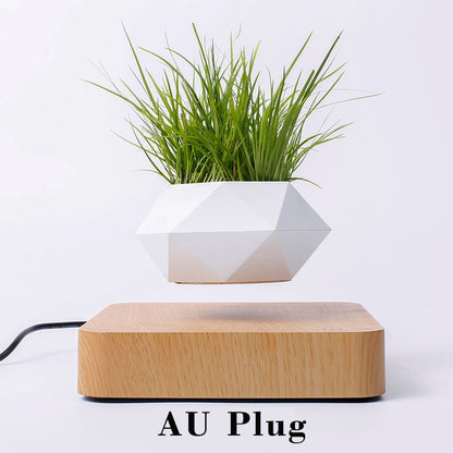 Levitating Air Bonsai Pot