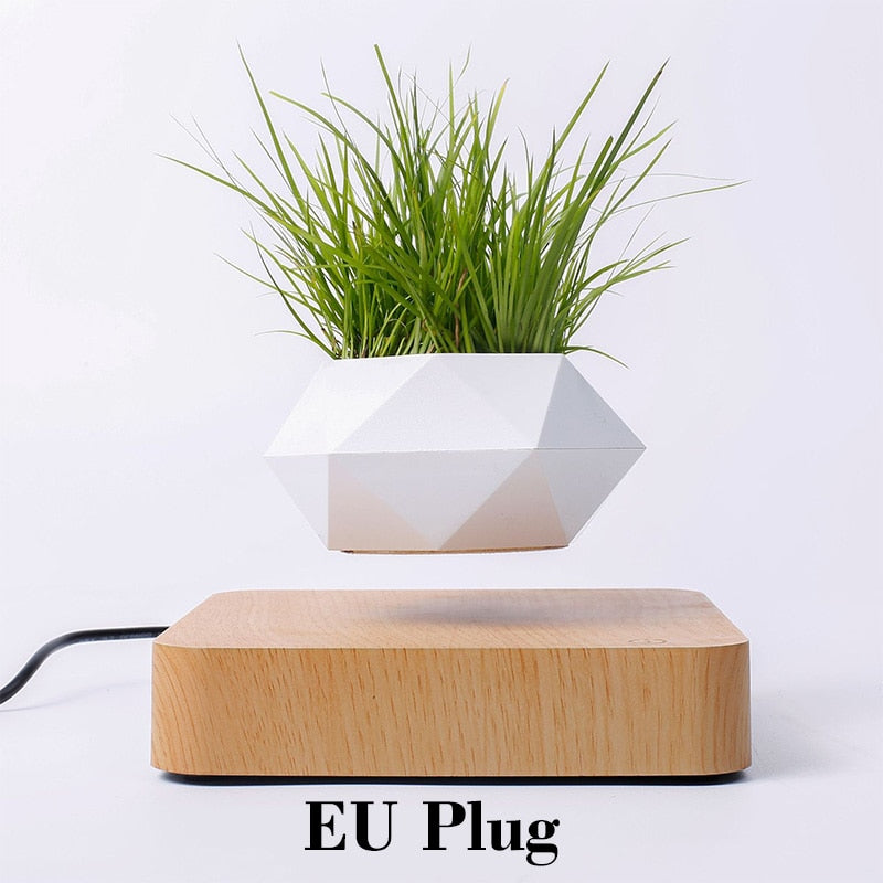 Levitating Air Bonsai Pot