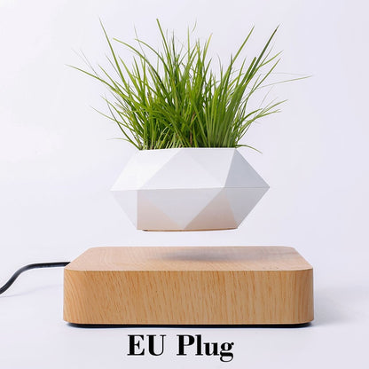 Levitating Air Bonsai Pot