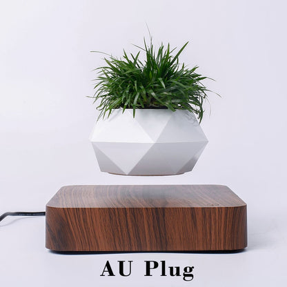 Levitating Air Bonsai Pot