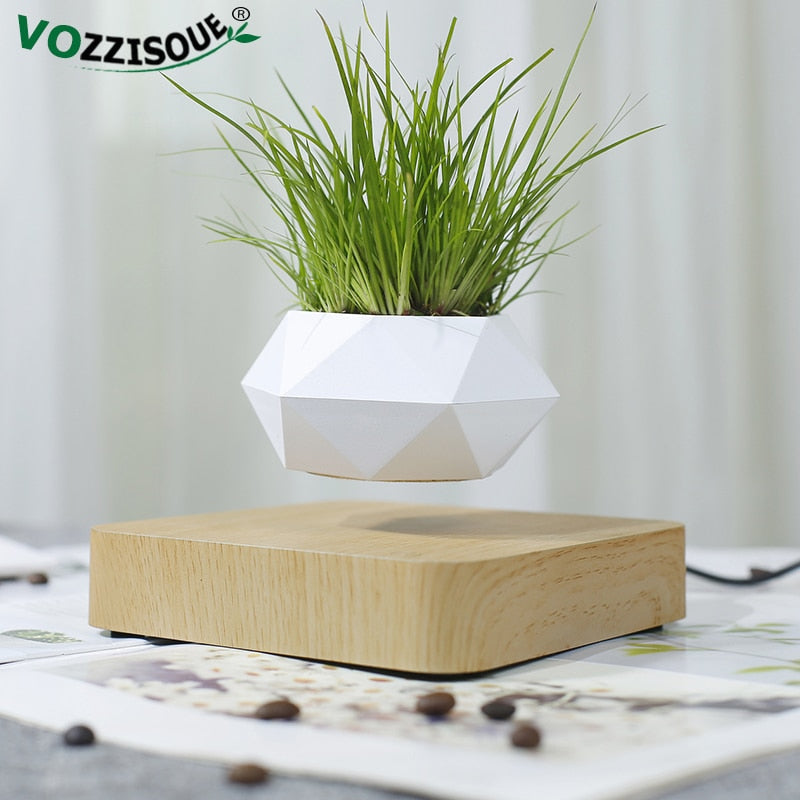Levitating Air Bonsai Pot