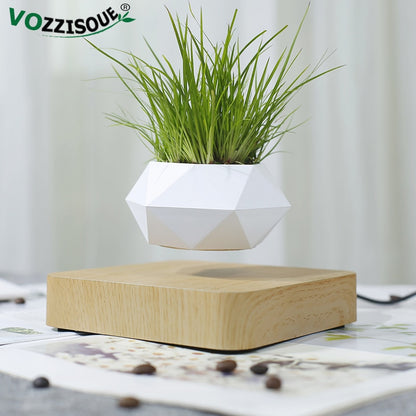 Levitating Air Bonsai Pot