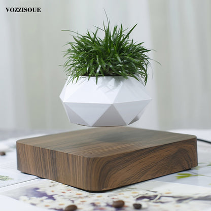 Levitating Air Bonsai Pot